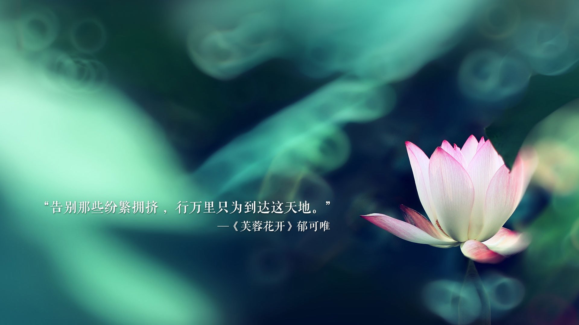 塞内加尔震撼亮相冬奥足球赛场，首战击败瑞士，塞内加尔国家队最新大名单