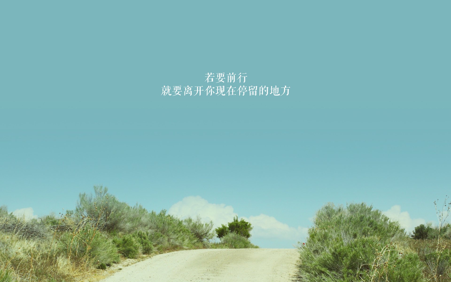 数字化青训“全流程”平台在行业内全面推广，行业效率显著提升