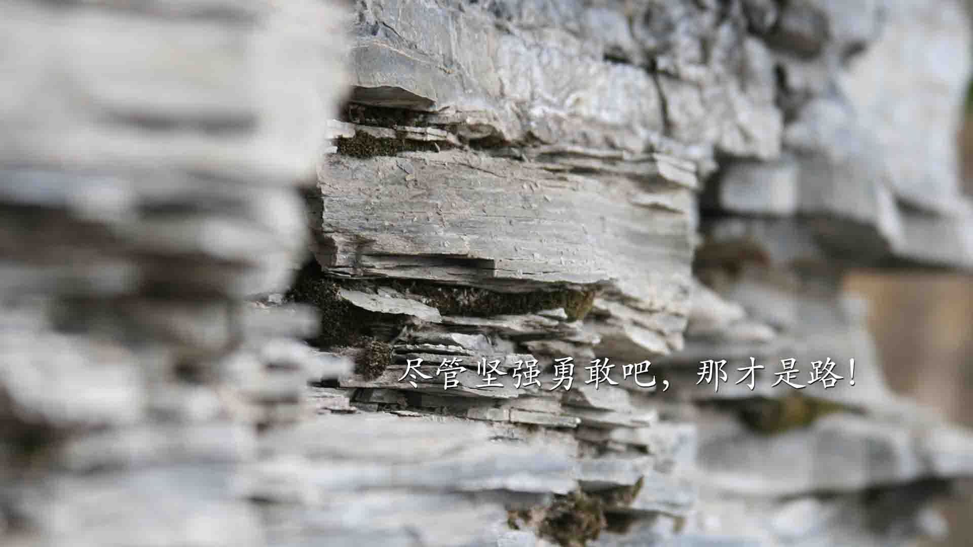 英格兰骑手本·哈里斯在巴黎奥运会障碍赛中获得第九名，创造个人最佳成绩。
