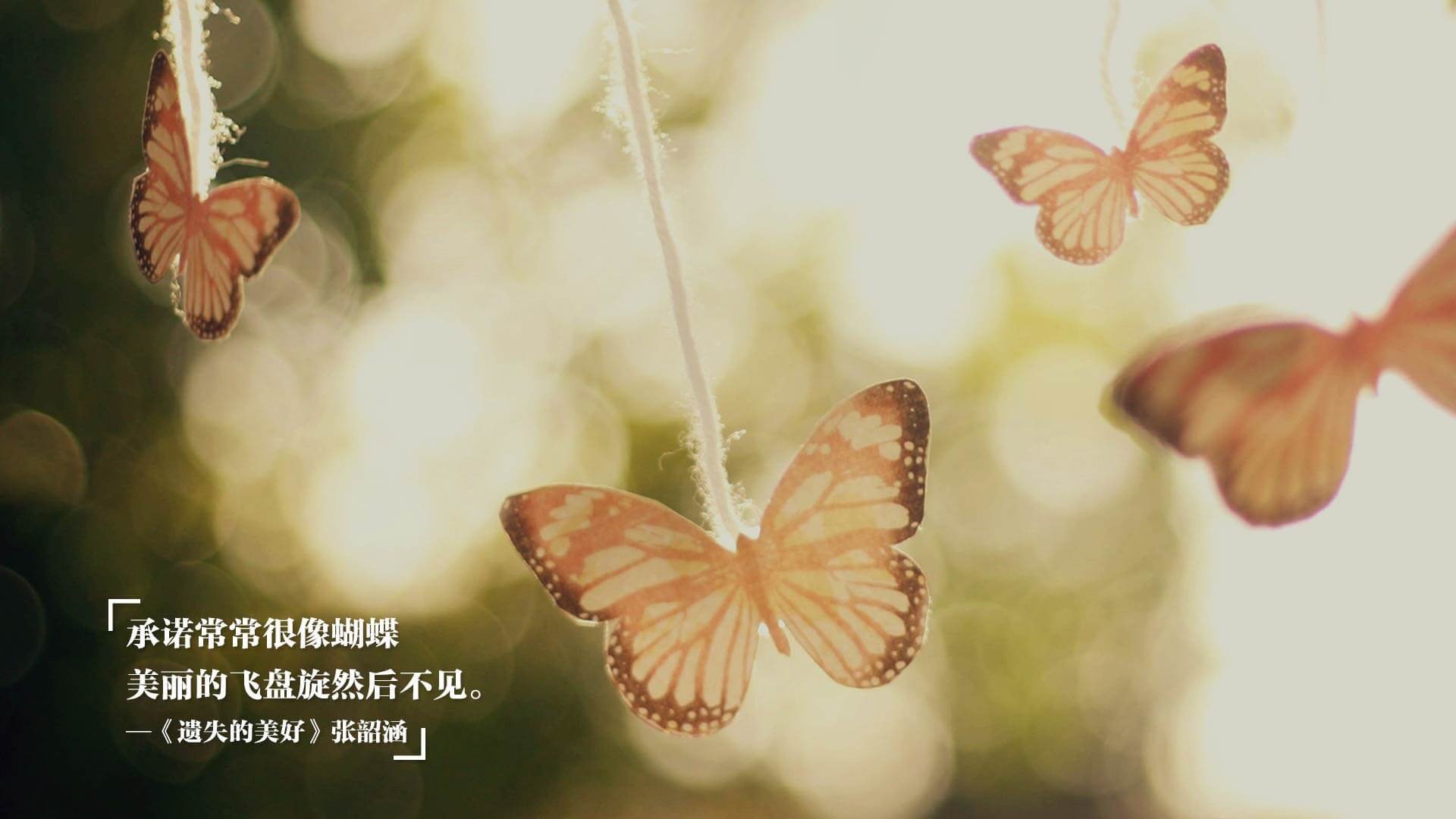 橙队全队发挥出色，逼近季后赛门票，橙队什么口号响亮