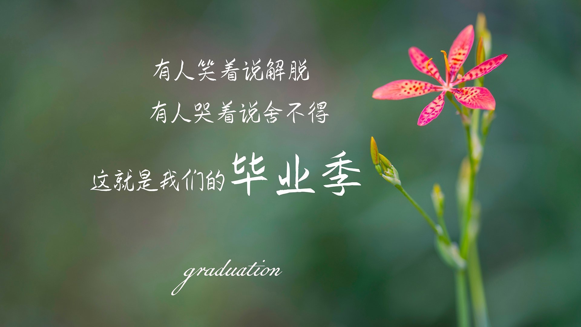 英超球员赛后肌肉恢复曲线与训练调整匹配度，英超球队一天训练多久