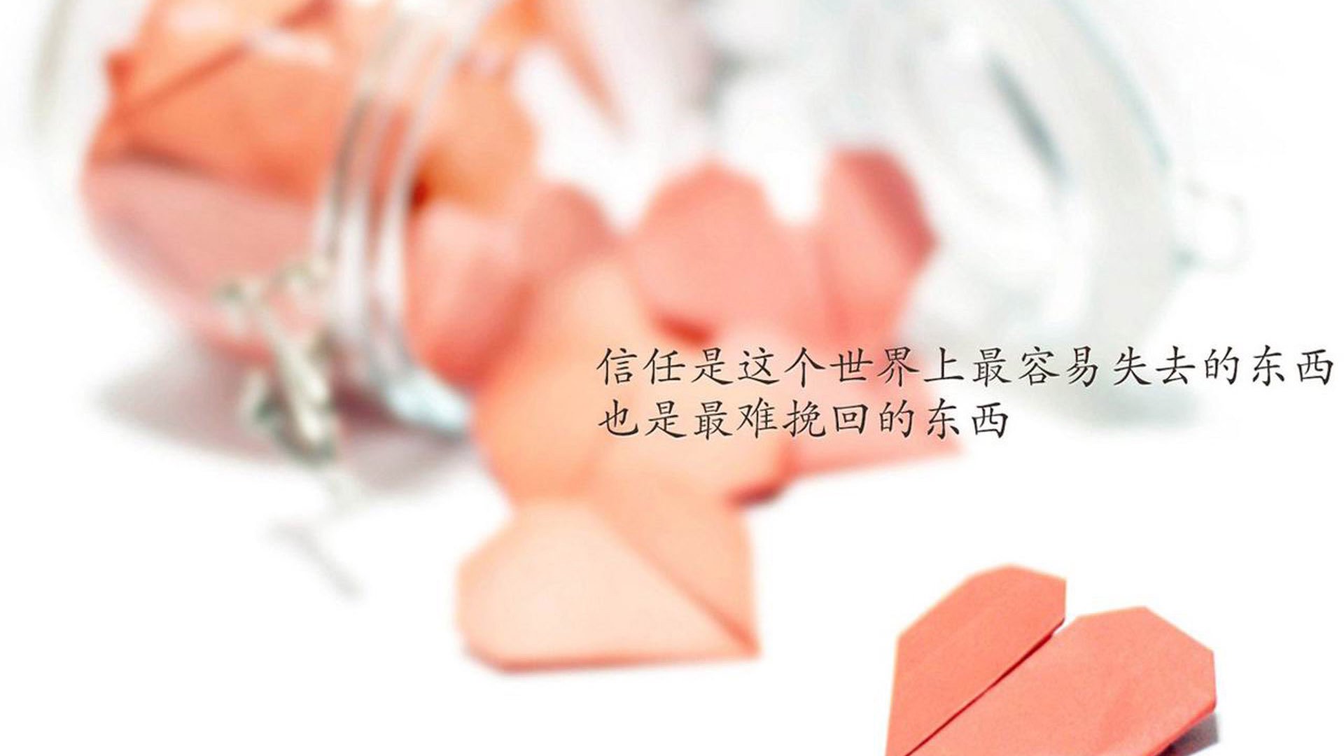 波兰队在国际乒联混合团体世界杯中的精彩对抗与胜利，波兰国家队世界杯阵容