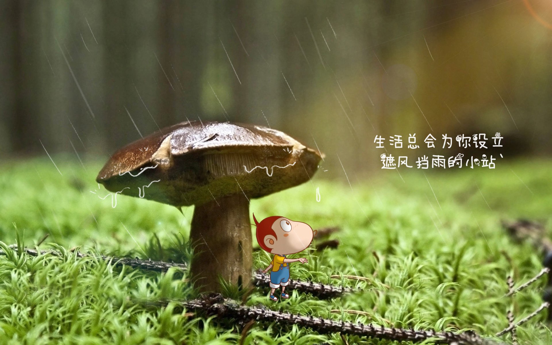 中甲俱乐部搭建技战术数据库辅助教练科学布阵