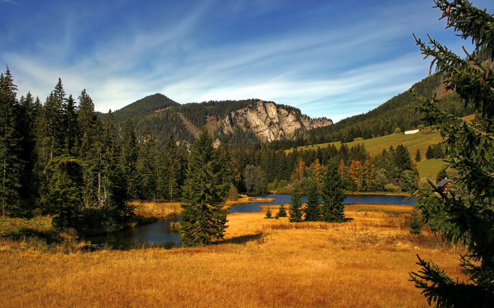 九游登录入口-卡斯帕·科尔博后程加速展现强大实力，卡斯帕尔 支援