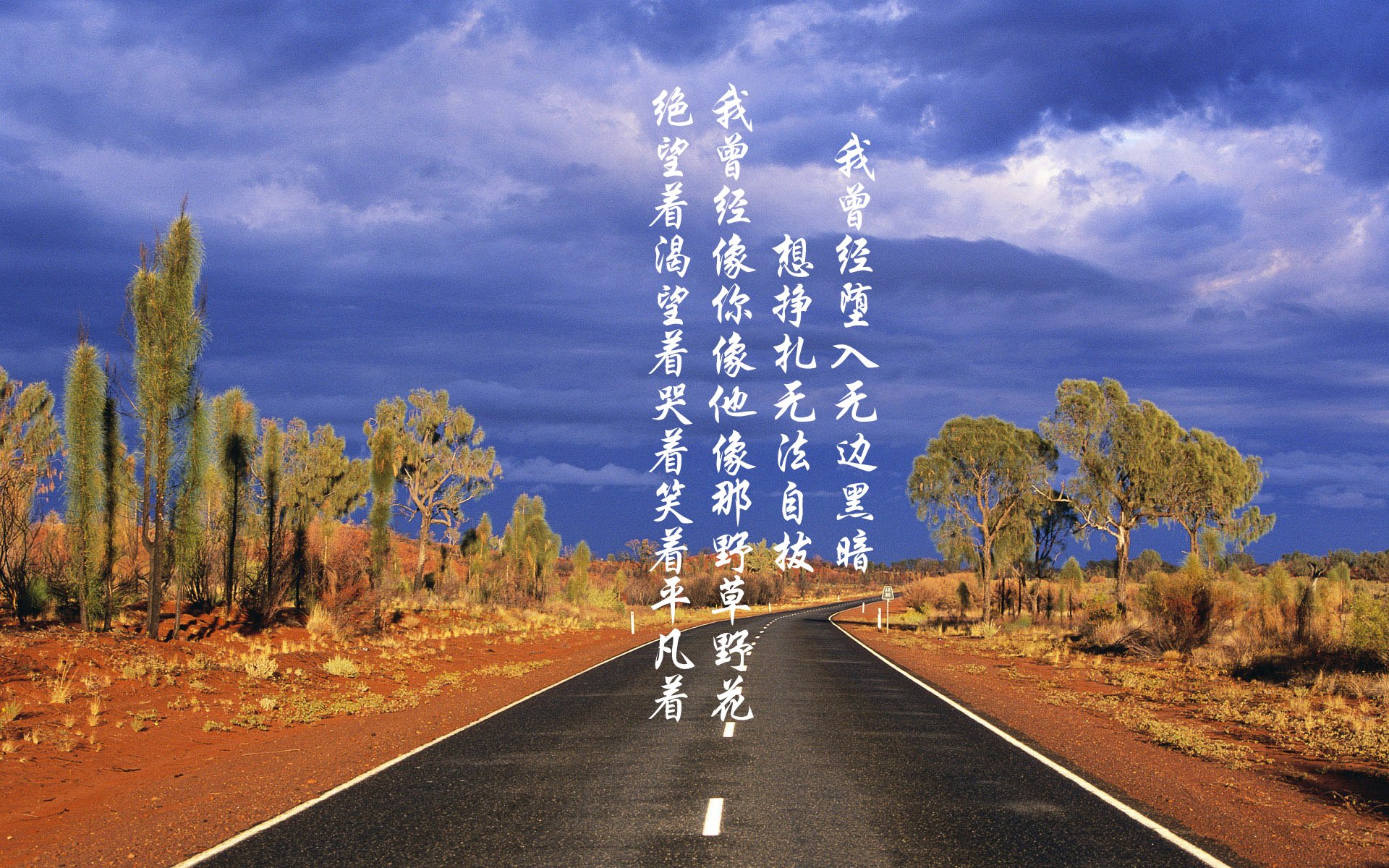 库里短片入围国际体育纪录片奖项，nba球星库里纪录片大全