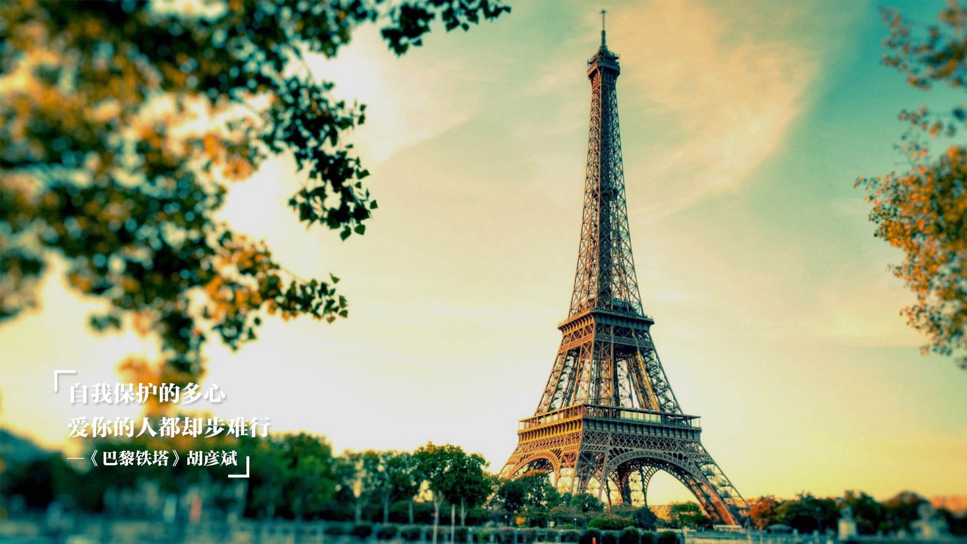 澳大利亚袋鼠队的战术打法越发成熟,成全球橄榄球新力量,澳洲袋鼠打拳击