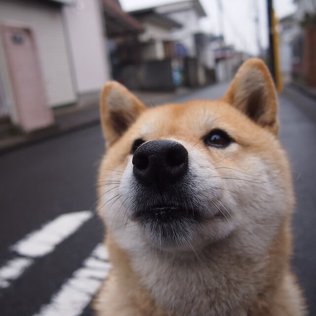 英超冠军最后冲刺：一场场“生死战”精彩绝伦