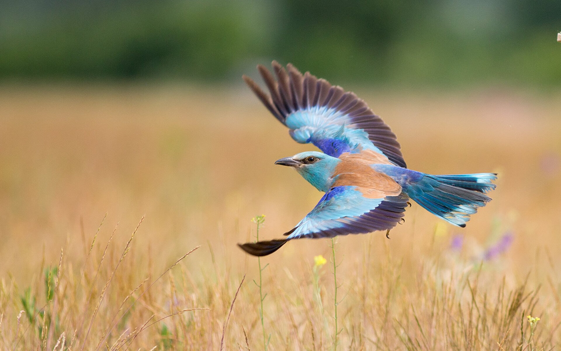 Jiuyou-足球场地环保材料应用逐渐普及，足球场污染环境吗